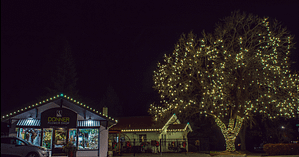 Permanent Christmas Lights-2