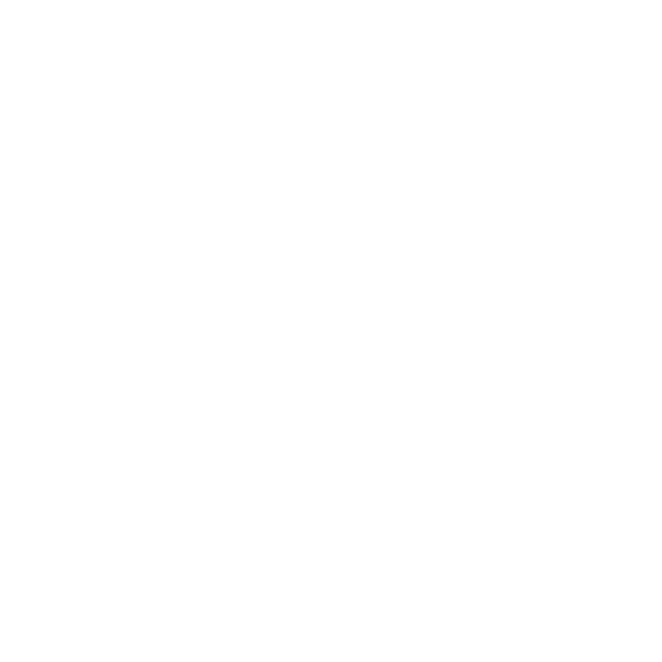house icon