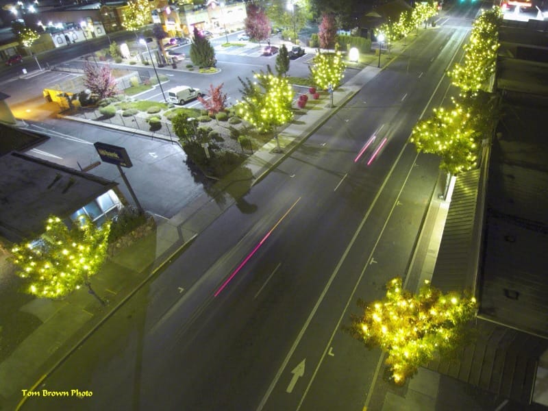 trees with lights on Road side